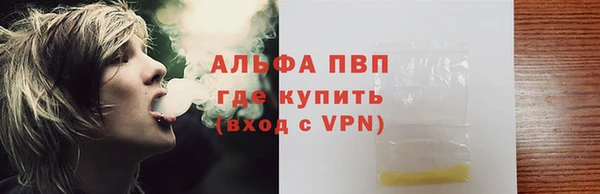 apvp Ельня